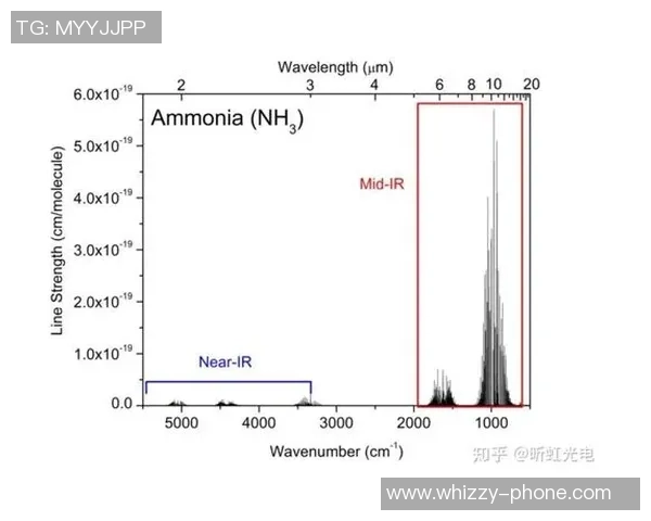 成都羽毛球队与深圳羽毛球队赛后技术分析与战术对比探讨